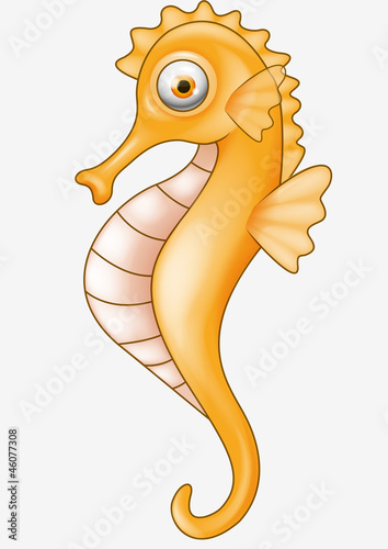 Seahorse cartoon