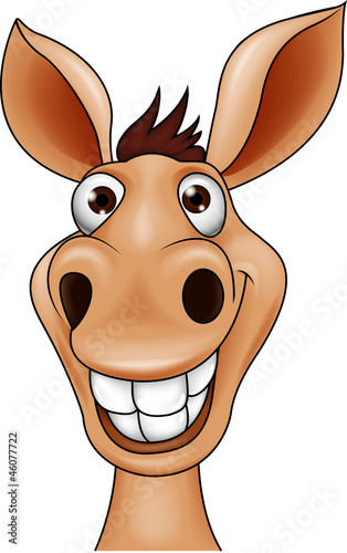Smiling donkey head