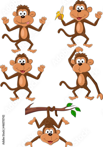 Monkey cartoon