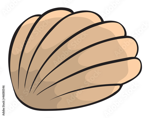 shell