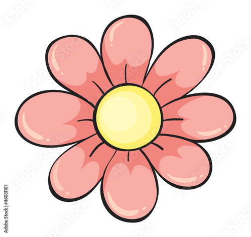 Fototapeta Naklejka Na Ścianę i Meble -  a flower