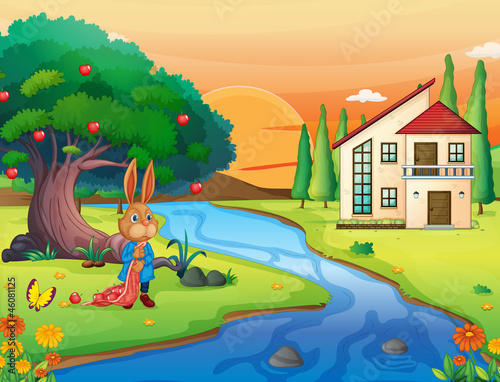 a rabbit in nature