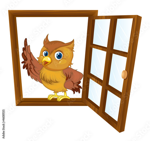 bird in a window