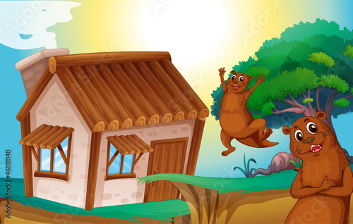 wooden house and otters