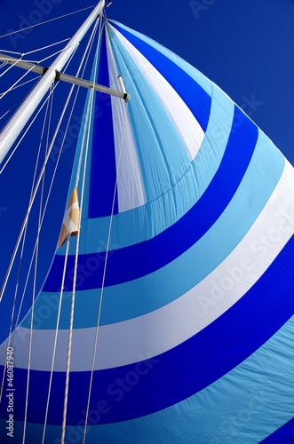 spinnaker dans le vent