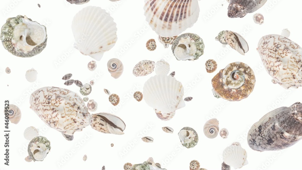 Shells falling down (ends on green) Shells falling down (ends on green)