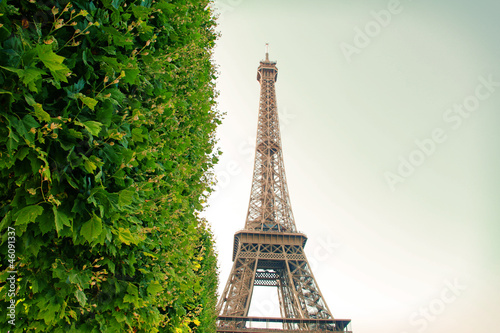 Eiffel Tower in Paris, France photographed at Champ de Mars
