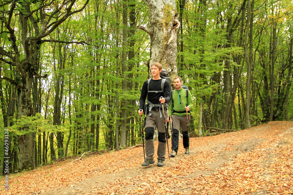 Obraz premium Autumn walk.