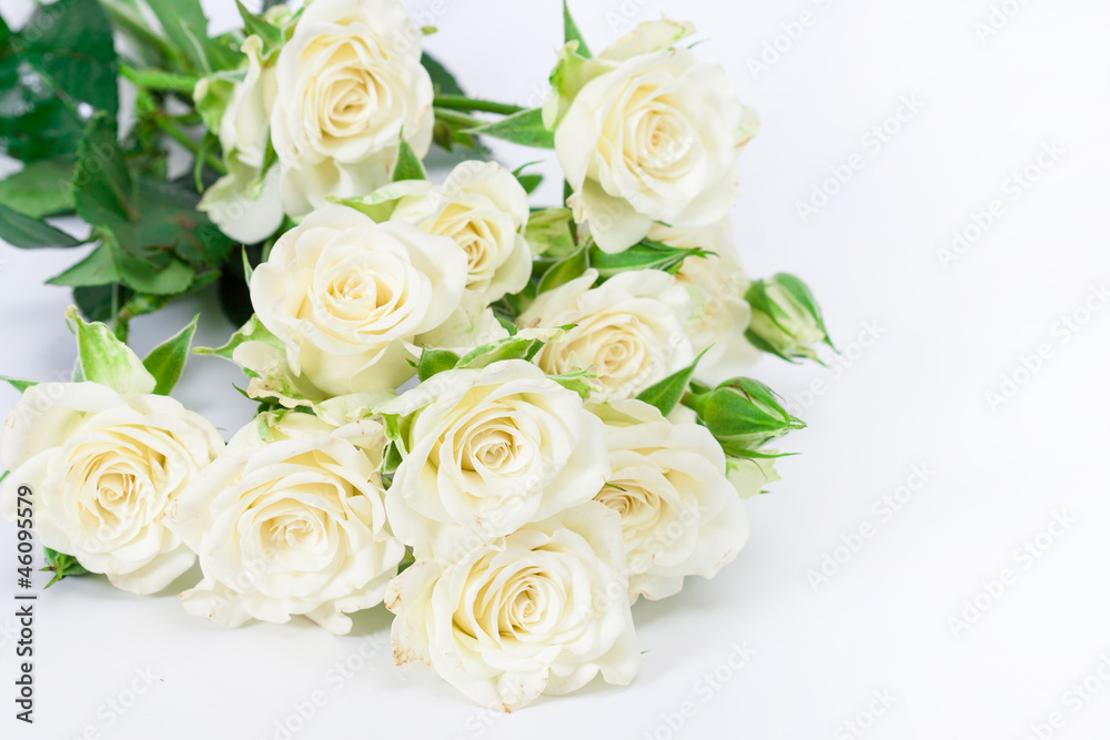 White roses