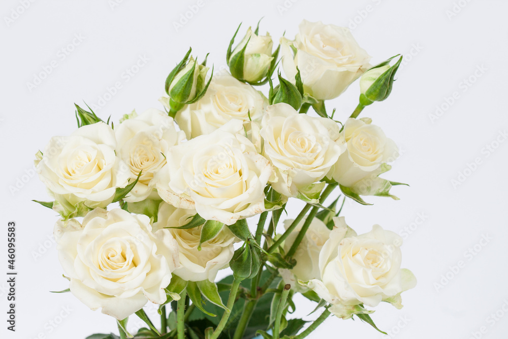 White roses