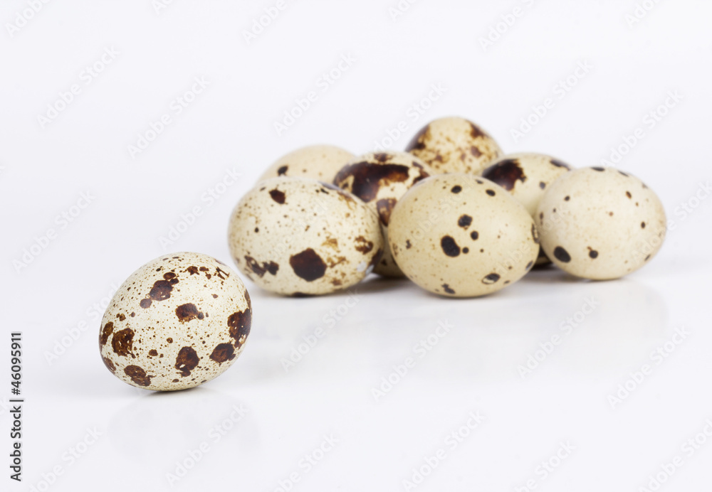 Quail eggs isolated on white  background