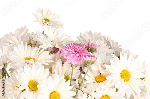 bouquet of daisies isolated on white