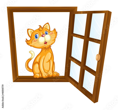 cat and window