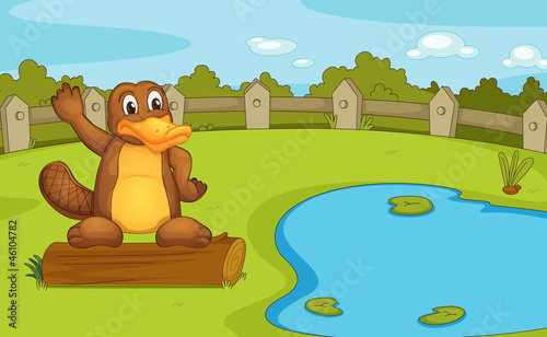 Platypus