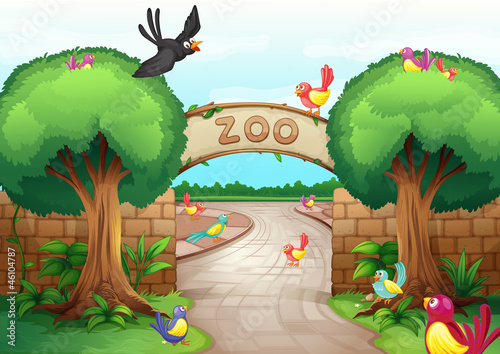 Zoo scene