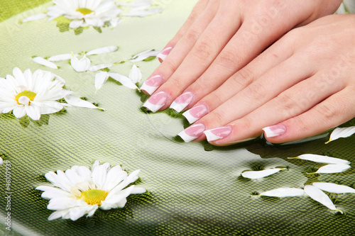 Woman hands with french manicure and flowers in green bowl with