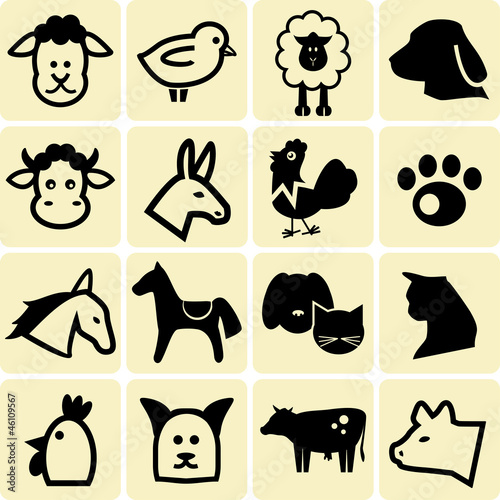 Farm animals