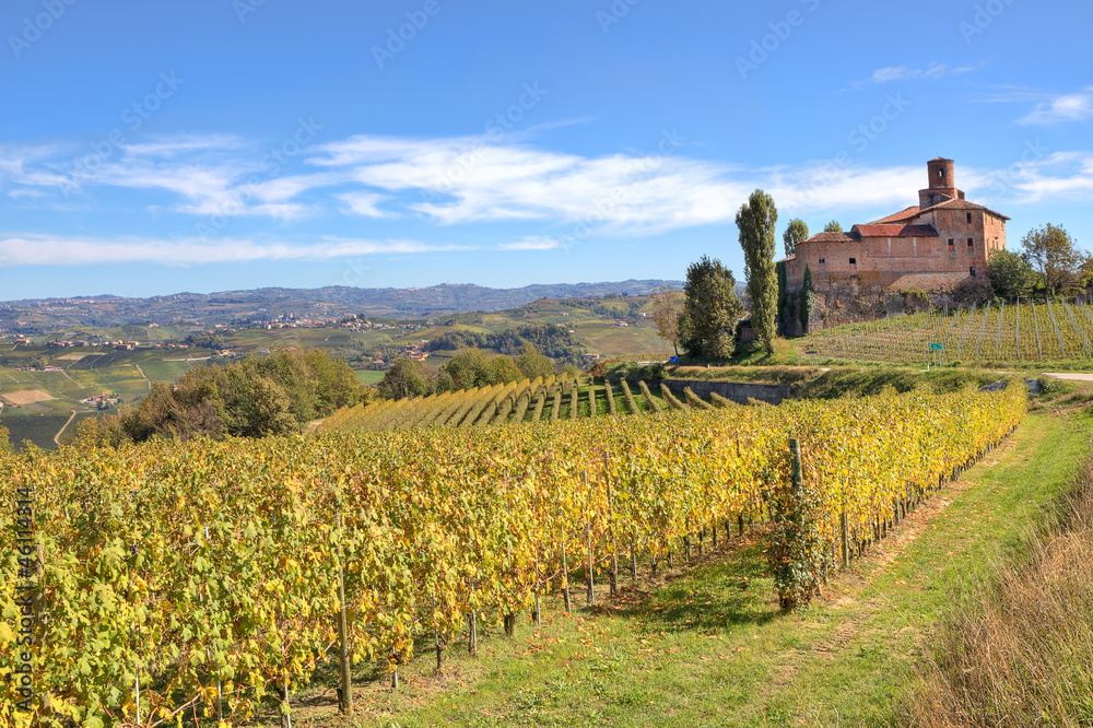 Vineyards and old castle. Piedmont, Italy.