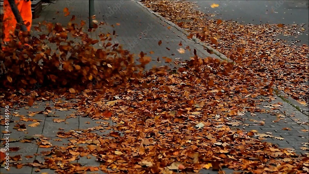 street cleaning with leaf sucker