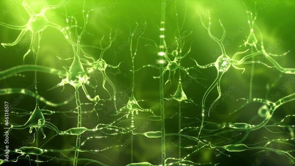 Neuronal Activity Female Green