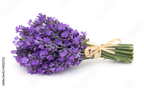 tied bunch of lavender