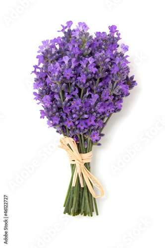 Fototapeta Naklejka Na Ścianę i Meble -  lavender