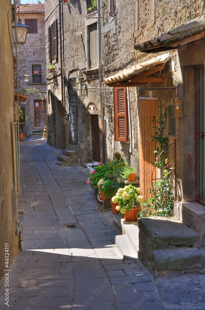 Alleyway. Bagnaia. Lazio. Italy.