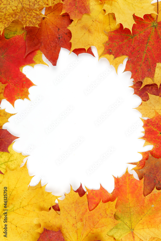 Frame composed of colorful autumn leaves Frame composed of colorful autumn leaves