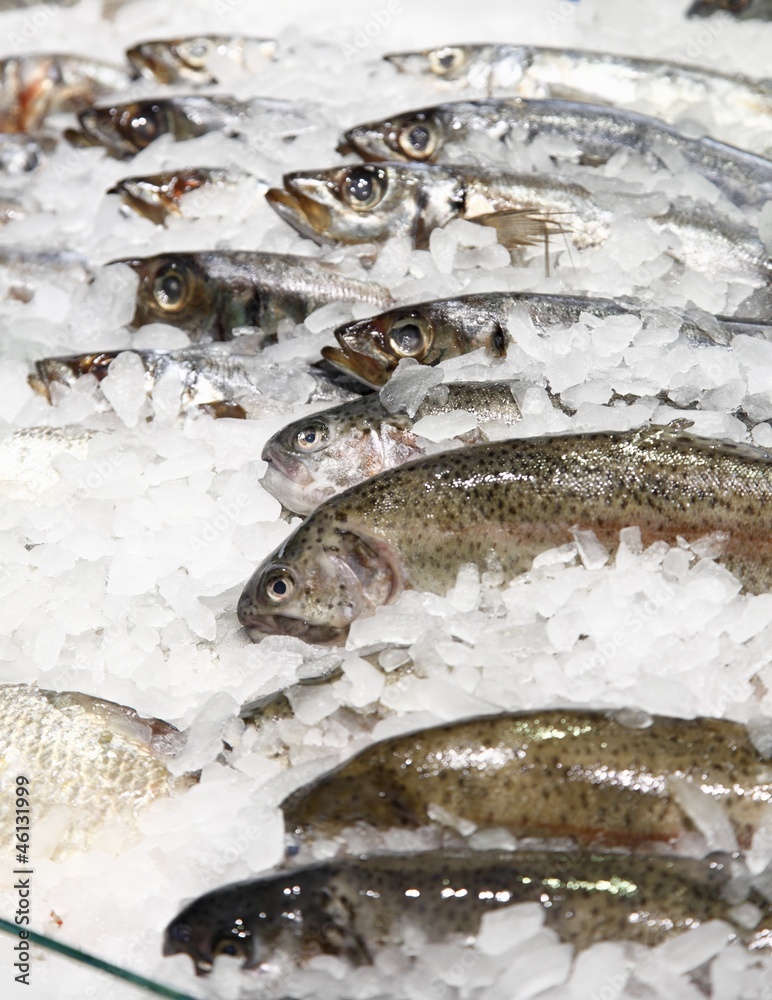 Some fish in ice in a supermarket