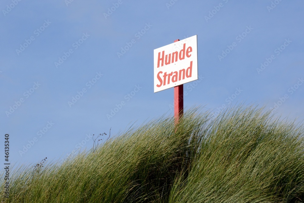 Hunde Strand