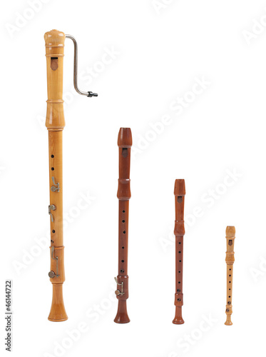 Many kinds of recorder for your choice photo