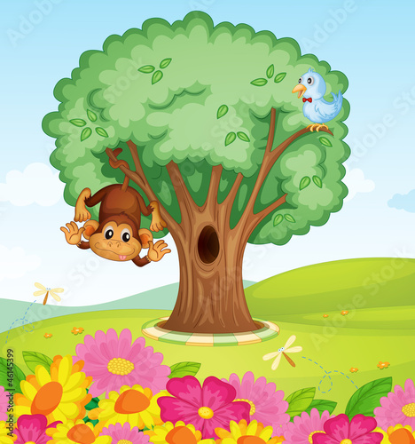a monkey, a bird and a tree