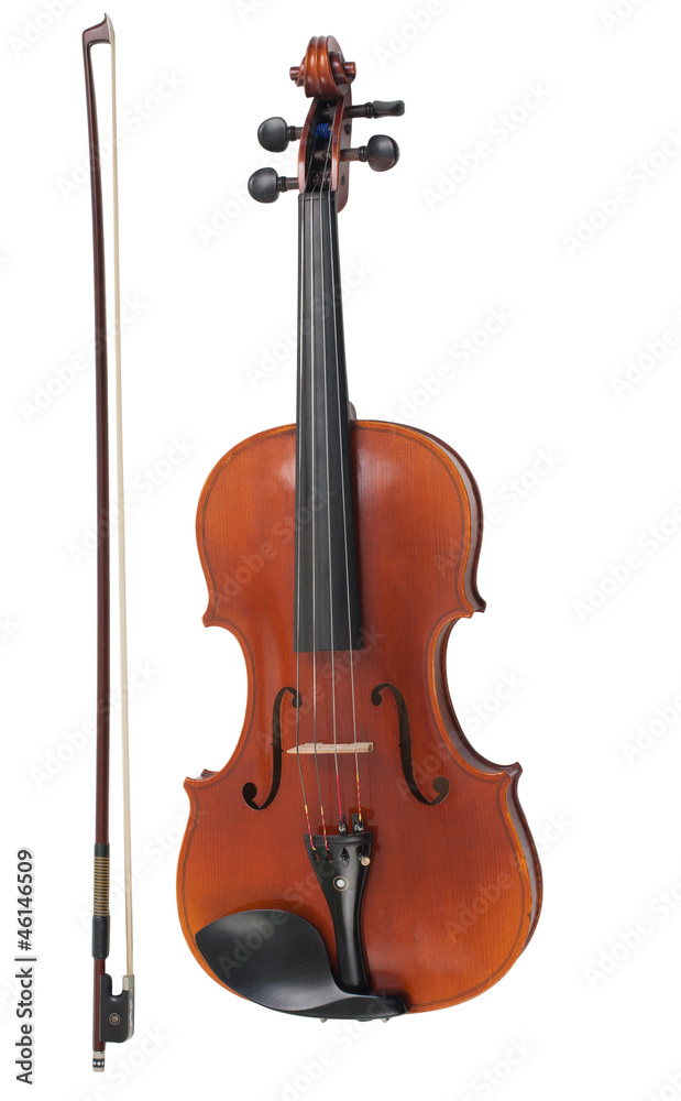 Fototapeta premium Viola