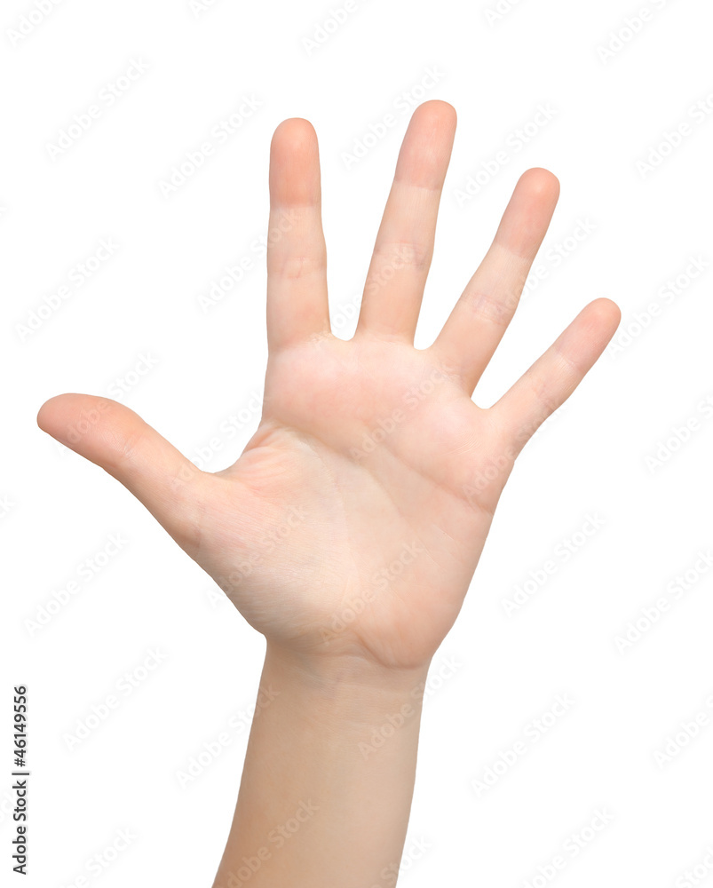 isolated woman hand shows the five isolated woman hand shows the five