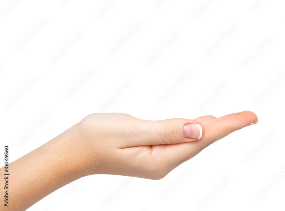Isolated female hand palm held subject Isolated female hand palm held subject