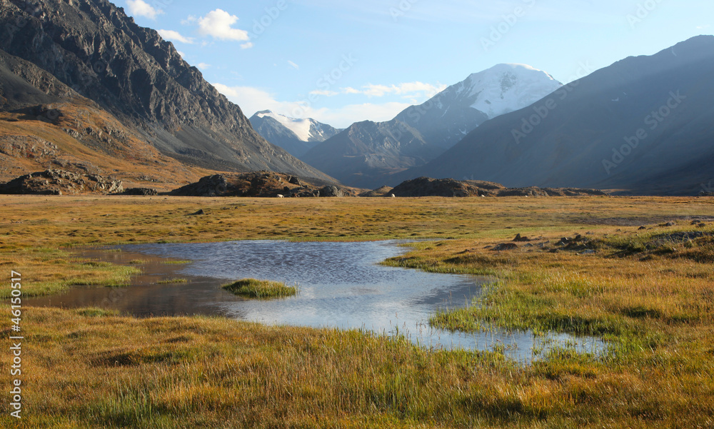 Siberian Alpine Tundra - obrazy, fototapety, plakaty 