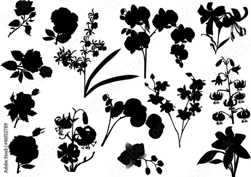Fototapeta Naklejka Na Ścianę i Meble -  collection of black isolated flowers