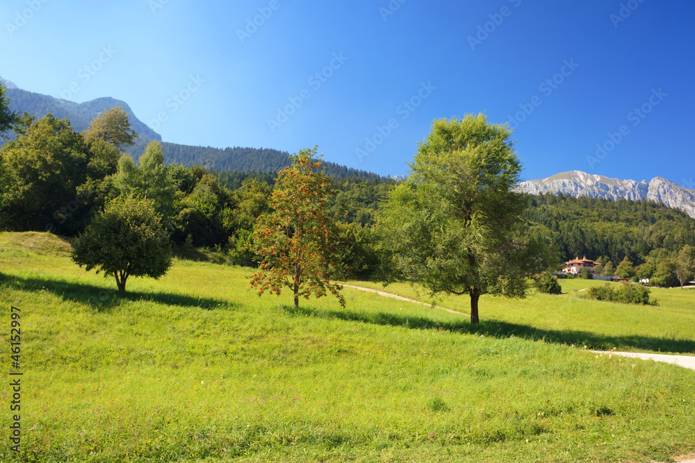 Fototapeta premium Alpine landscape