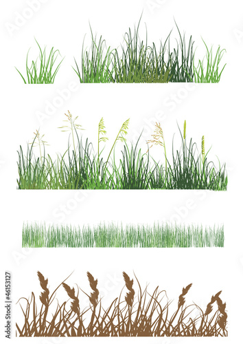grass strips collection isolated on white