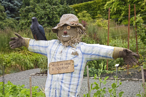 Scarecrow in Pollok Park