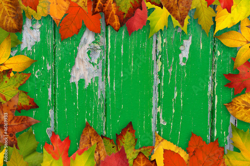 Border of autumn leaves on green wood background