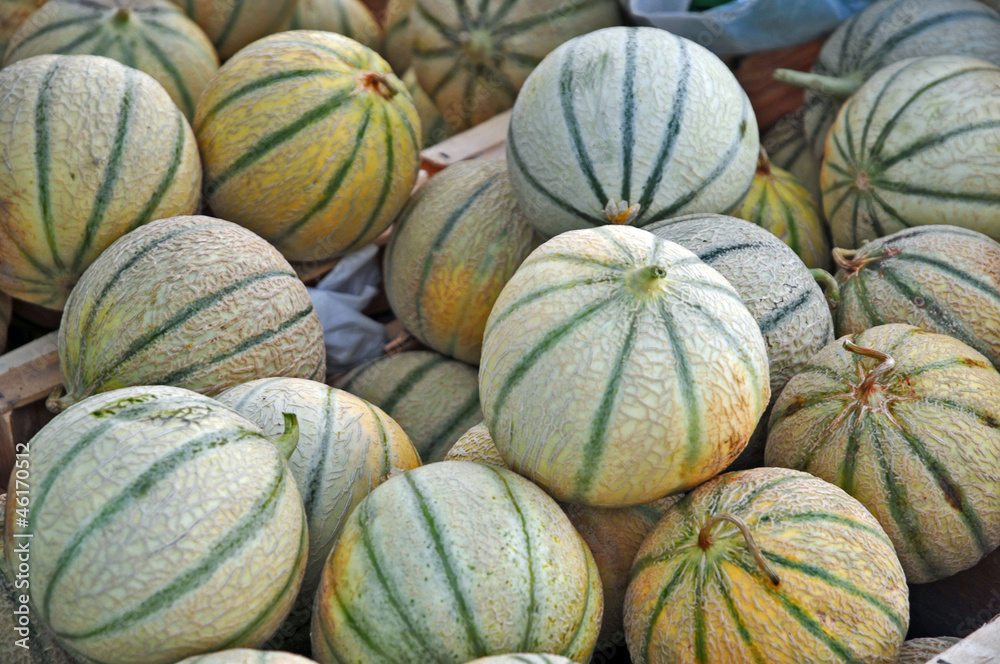 Meloni al mercato di Valreas - Provenza