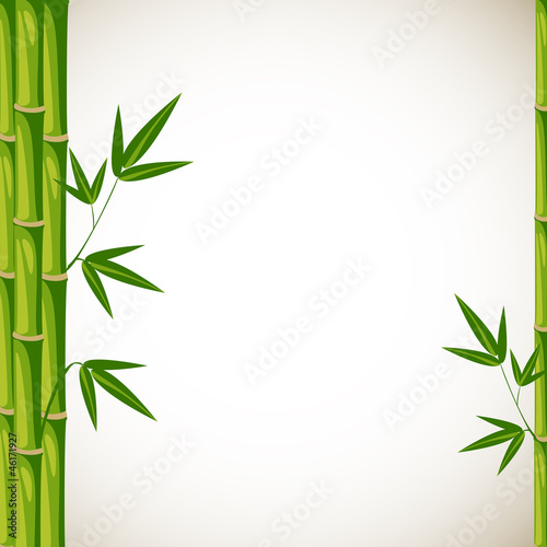 Vector bamboo template background