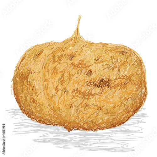 jicama