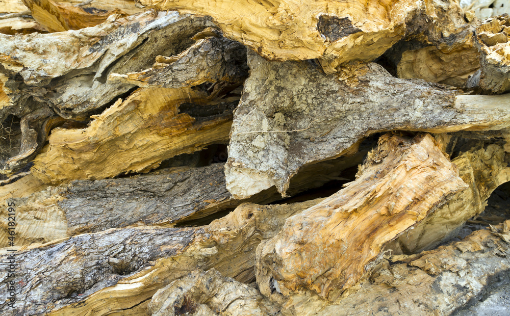 Background of dry roughly chopped firewood Background of dry roughly chopped firewood