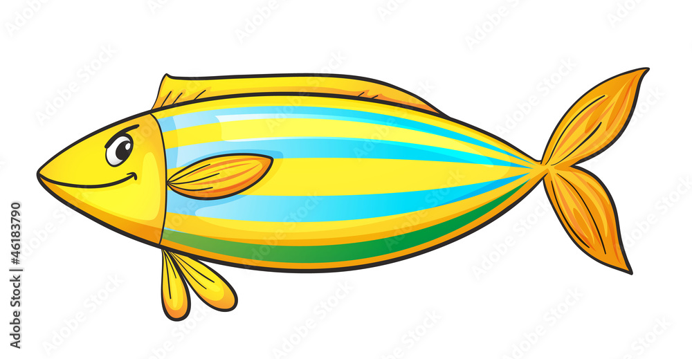 Fototapeta premium a fish