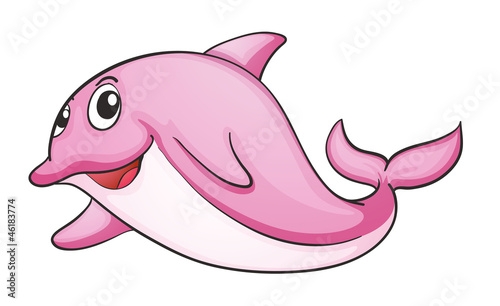 a  shark fish