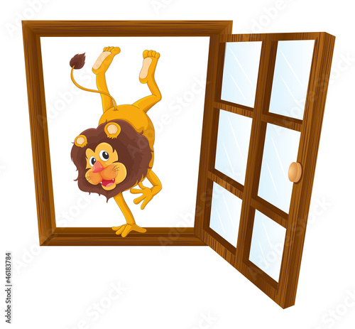 a lion in the window photo