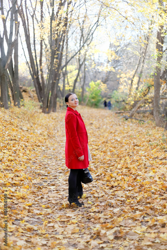 pretty girl in the autumn forest pretty girl in the autumn forest