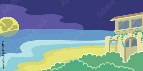 House on the beach moonlight